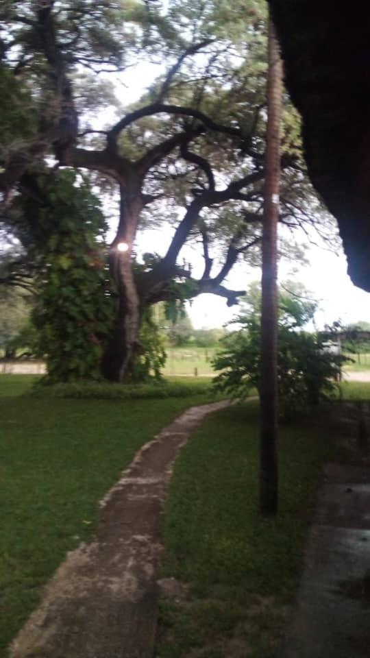 Camp Hogo Kavango Rundu Ngoại thất bức ảnh